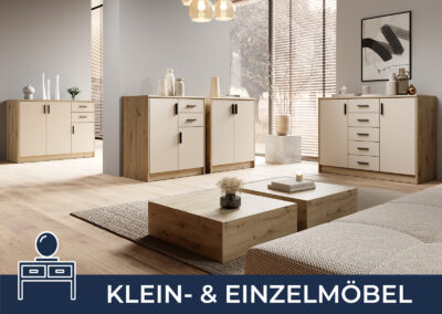 SMALL & INDIVIDUAL FURNITURE